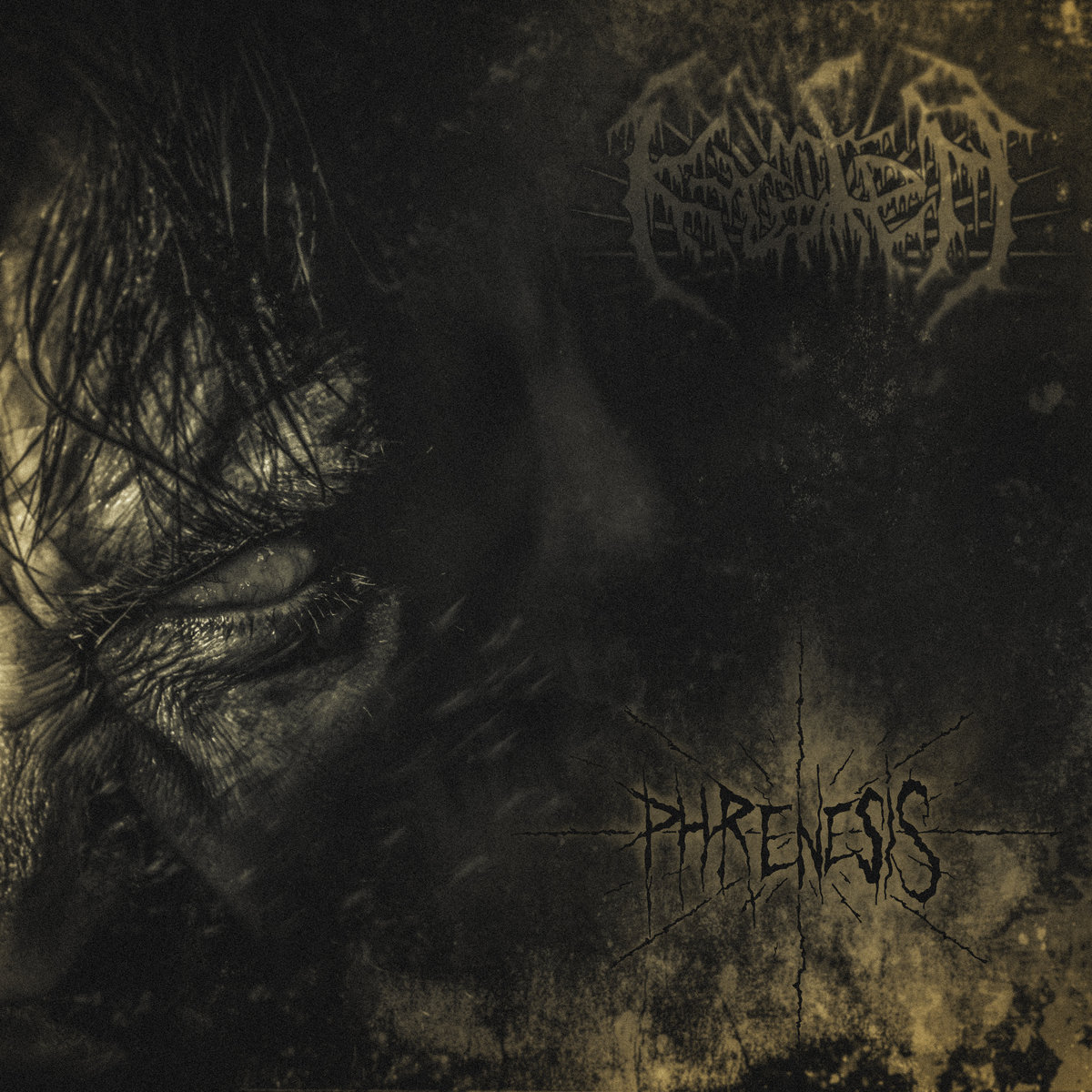 5th album PHRENESIS available as LP, CD or Digital